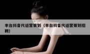 丰台抖音代运营策划（丰台抖音代运营策划招聘）