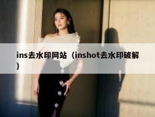 ins去水印网站（inshot去水印破解）