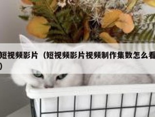 短视频影片（短视频影片视频制作集数怎么看）