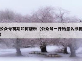 公众号初期如何涨粉（公众号一开始怎么涨粉）