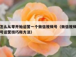 怎么从零开始运营一个微信视频号（微信视频号运营技巧和方法）