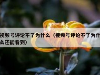 视频号评论不了为什么（视频号评论不了为什么还能看到）