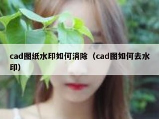 cad图纸水印如何消除（cad图如何去水印）