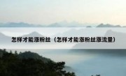 怎样才能涨粉丝（怎样才能涨粉丝涨流量）