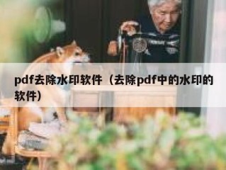 pdf去除水印软件（去除pdf中的水印的软件）