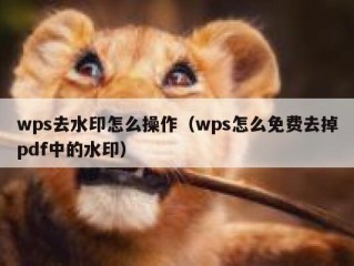 wps去水印怎么操作（wps怎么免费去掉pdf中的水印）