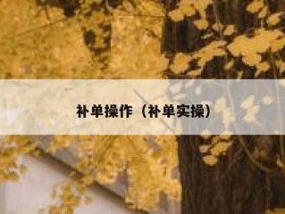 补单操作（补单实操）