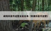 咸阳抖音代运营企业名单（安康抖音代运营）