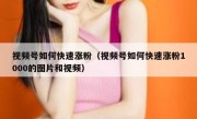 视频号如何快速涨粉（视频号如何快速涨粉1000的图片和视频）