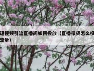 短视频引流直播间如何投放（直播带货怎么投流量）