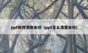 ppt如何清除水印（ppt怎么清楚水印）