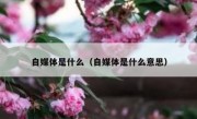 自媒体是什么（自媒体是什么意思）