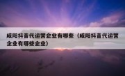 咸阳抖音代运营企业有哪些（咸阳抖音代运营企业有哪些企业）