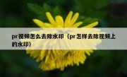 pr视频怎么去除水印（pr怎样去除视频上的水印）