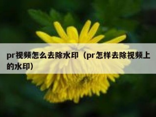 pr视频怎么去除水印（pr怎样去除视频上的水印）