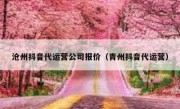 沧州抖音代运营公司报价（青州抖音代运营）