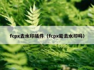 fcpx去水印插件（fcpx能去水印吗）