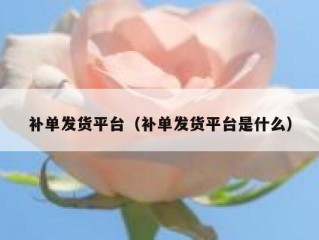 补单发货平台（补单发货平台是什么）