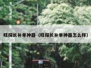 旺探长补单神器（旺探长补单神器怎么样）