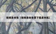 视频素材免（视频素材免费下载素材库）