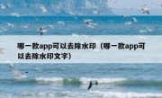 哪一款app可以去除水印（哪一款app可以去除水印文字）