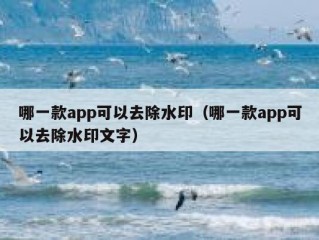 哪一款app可以去除水印（哪一款app可以去除水印文字）