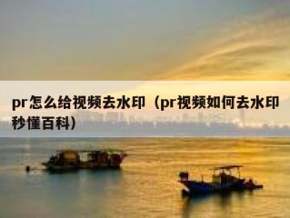 pr怎么给视频去水印（pr视频如何去水印秒懂百科）