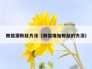 微信涨粉丝方法（微信增加粉丝的方法）