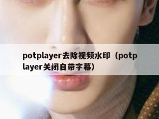 potplayer去除视频水印（potplayer关闭自带字幕）