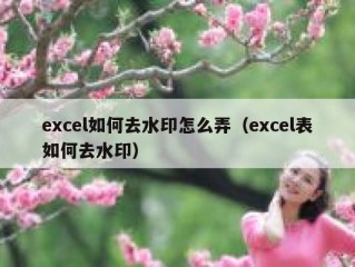 excel如何去水印怎么弄（excel表如何去水印）