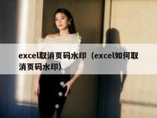 excel取消页码水印（excel如何取消页码水印）