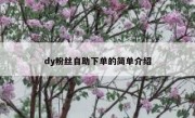 dy粉丝自助下单的简单介绍