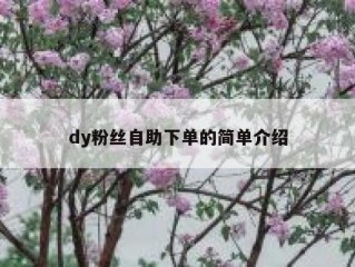 dy粉丝自助下单的简单介绍