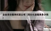 企业竞价服务托管公司（竞价托管服务多少钱）