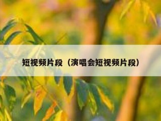 短视频片段（演唱会短视频片段）