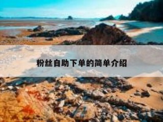 粉丝自助下单的简单介绍