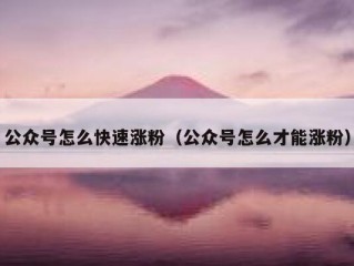 公众号怎么快速涨粉（公众号怎么才能涨粉）