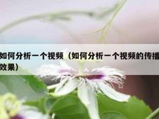 如何分析一个视频（如何分析一个视频的传播效果）