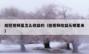 拍短视频是怎么收益的（拍视频收益从哪里来）