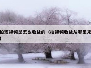 拍短视频是怎么收益的（拍视频收益从哪里来）