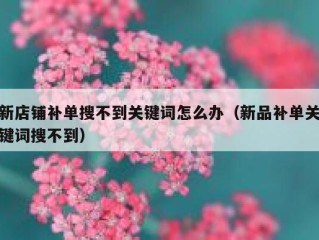 新店铺补单搜不到关键词怎么办（新品补单关键词搜不到）