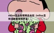 edius怎么给视频去水印（edius怎样消除原视频声音）