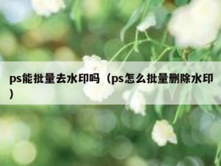 ps能批量去水印吗（ps怎么批量删除水印）