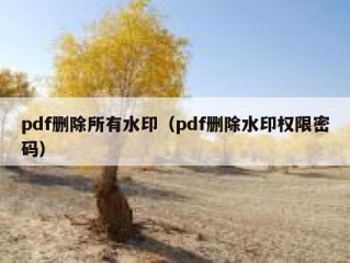 pdf删除所有水印（pdf删除水印权限密码）