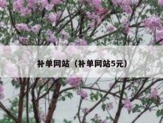 补单网站（补单网站5元）