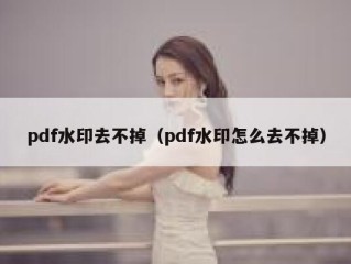 pdf水印去不掉（pdf水印怎么去不掉）