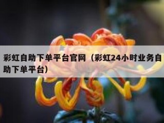 彩虹自助下单平台官网（彩虹24小时业务自助下单平台）