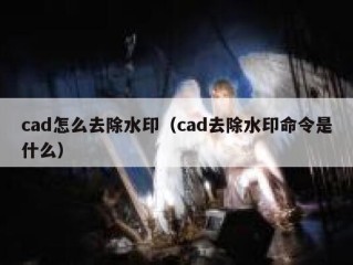 cad怎么去除水印（cad去除水印命令是什么）