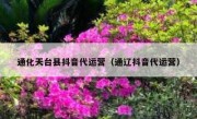 通化天台县抖音代运营（通辽抖音代运营）