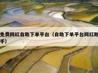 免费网红自助下单平台（自助下单平台网红助手）